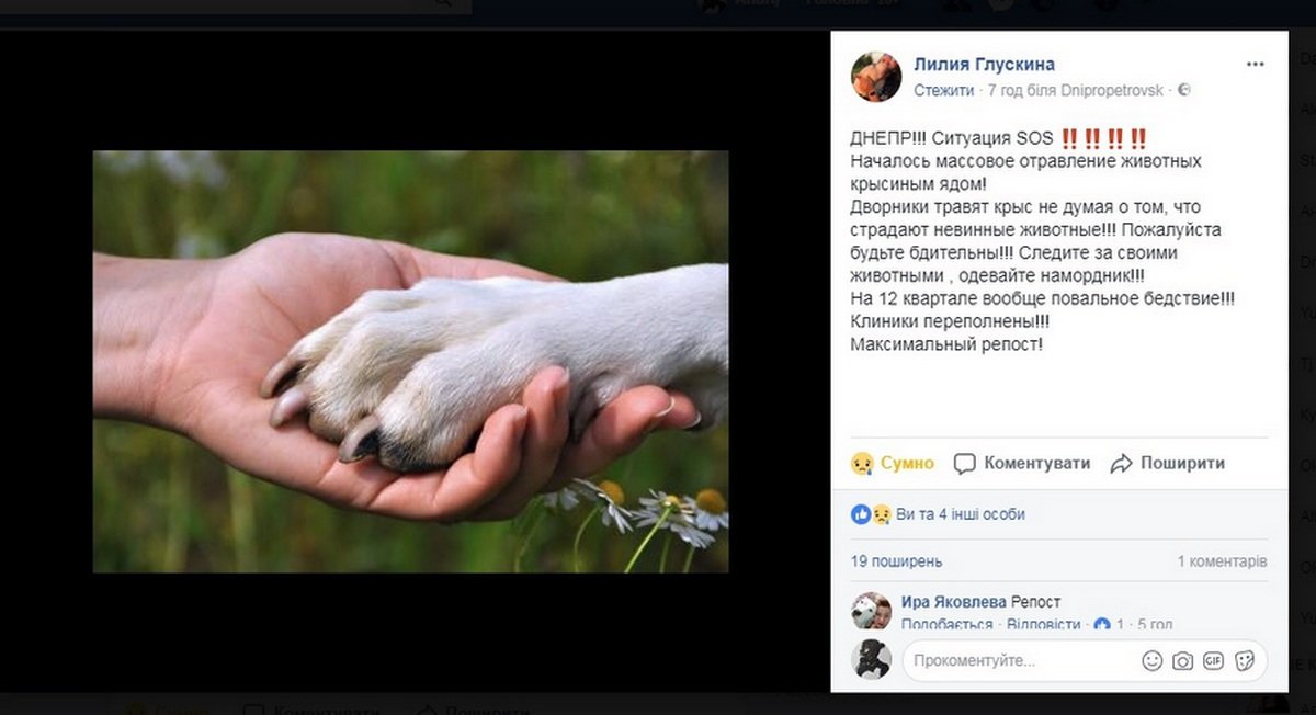 Жительница Днепра предупреждает владельцев собак об опасности Жительница Днепра предупреждает владельцев собак об опасности