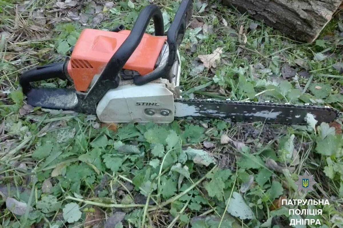 Мужчина вырубал леса бензопилой Мужчина вырубал леса бензопилой
