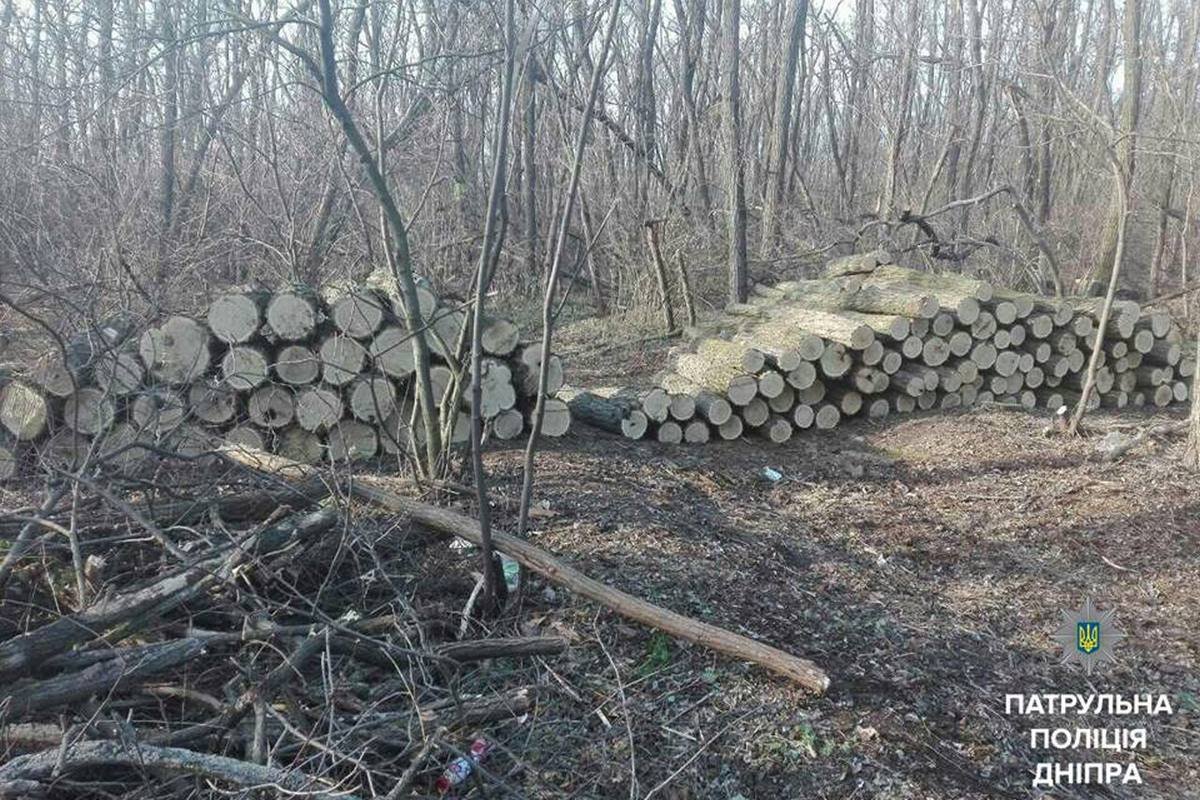 Мужчину задержал водный патруль Мужчину задержал водный патруль