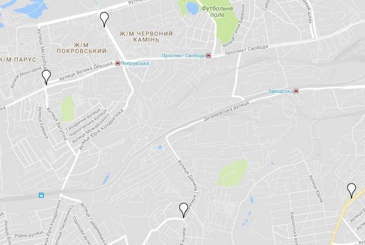 Праздник к нам приходит: где в Днепре купить елку 2