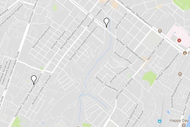 Праздник к нам приходит: где в Днепре купить елку 4