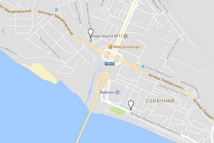 Праздник к нам приходит: где в Днепре купить елку 7