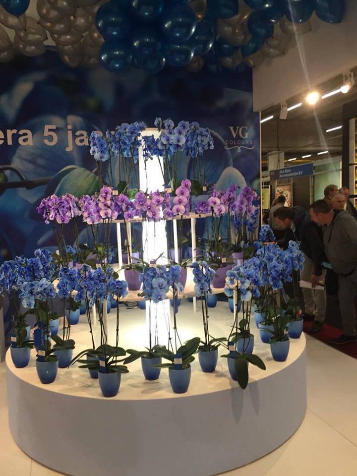 На выходных Троицкая площадь в Днепре превратится в Райский сад 2