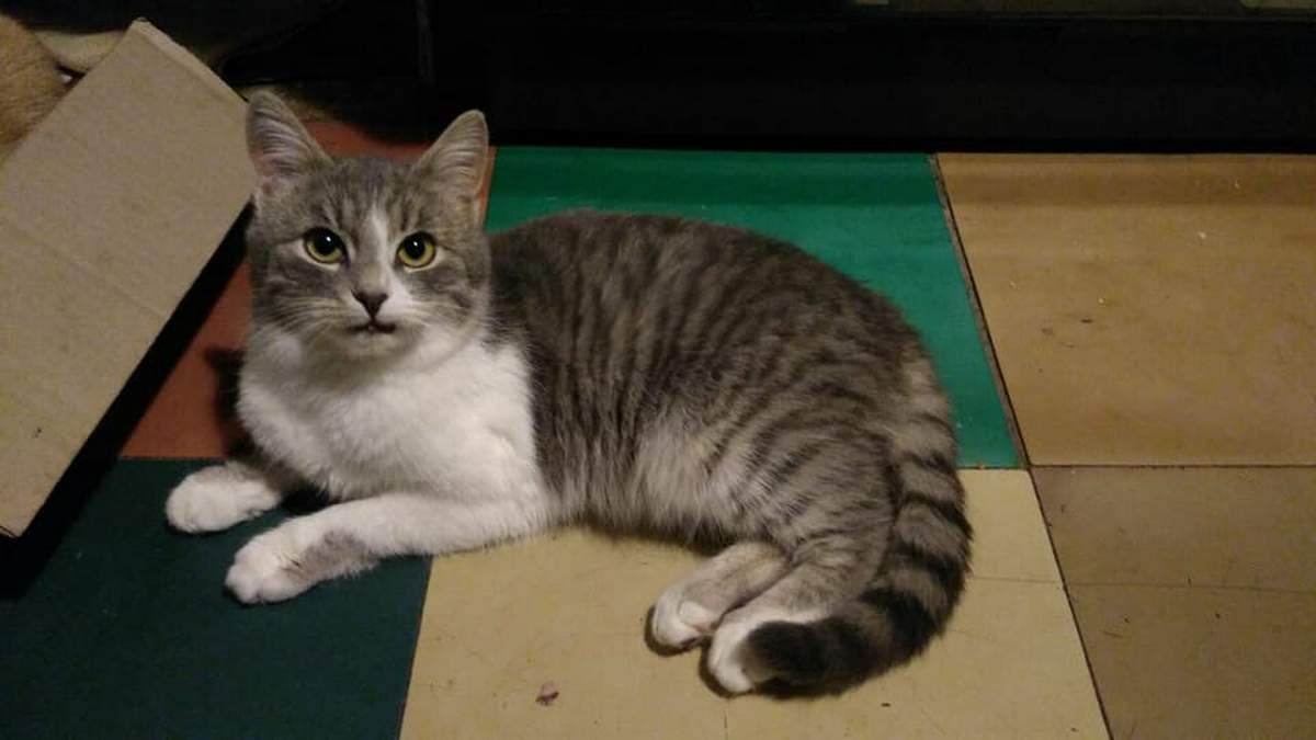 Она ждет именно вас Она ждет именно вас