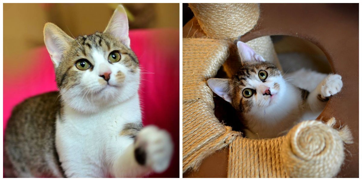 Забирай меня скорей, увози к себе домой Забирай меня скорей, увози к себе домой