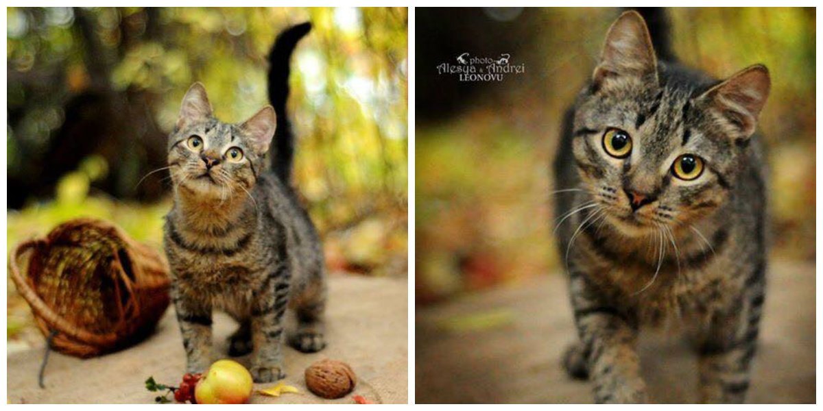 Найди меня Найди меня