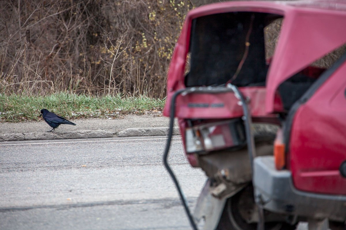 Фото: Андрей Лысенко