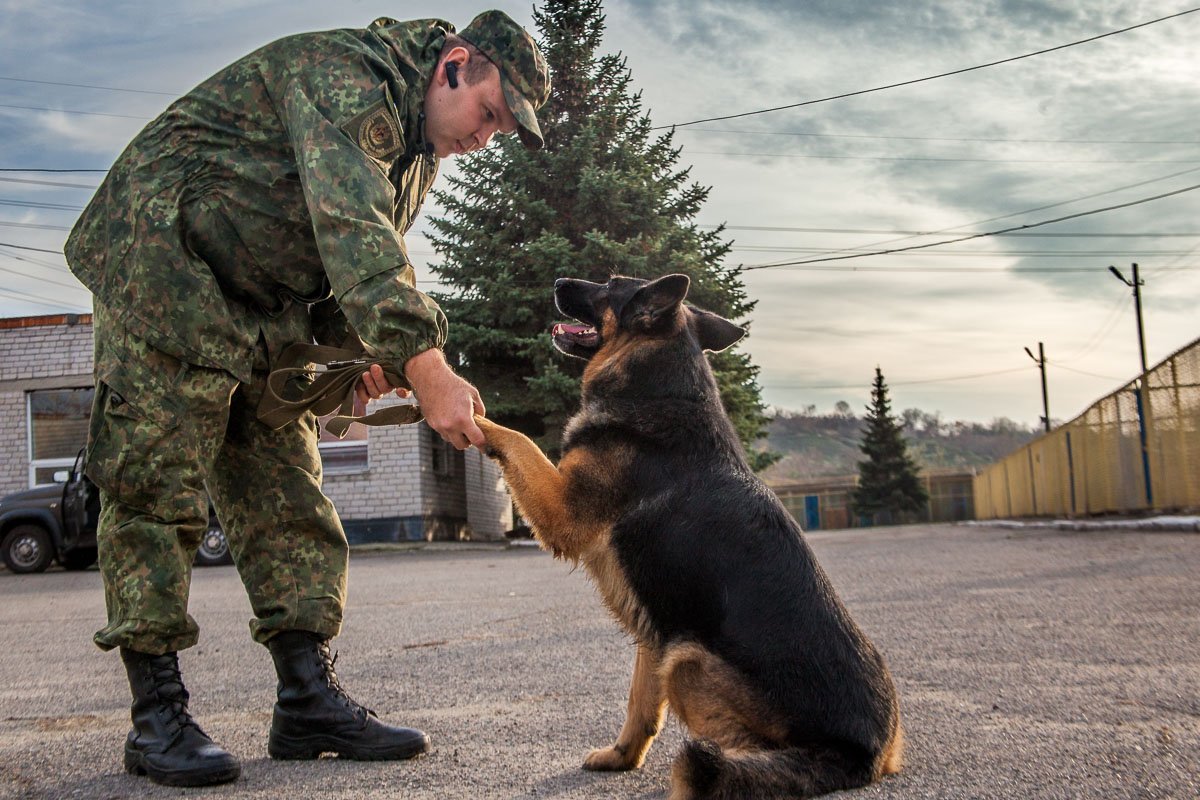 Все начинается с любви к собаке, этим делом надо жить