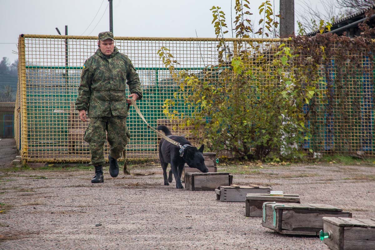 Поиск взрывчатки