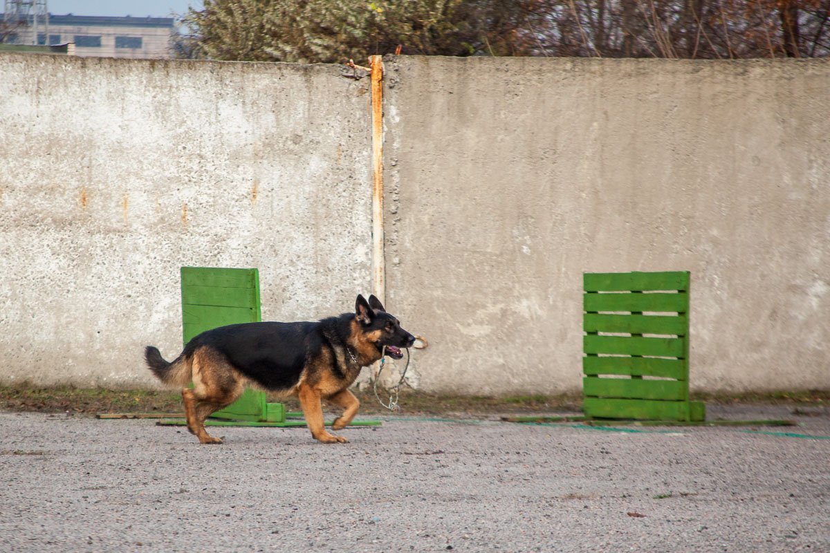 Время для игры