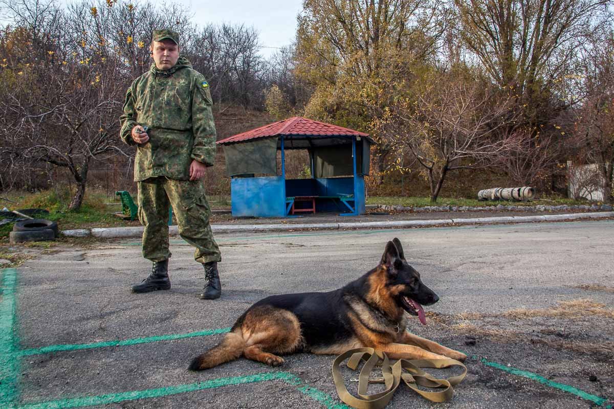 Занимаясь с собакой, нельзя не любить ее