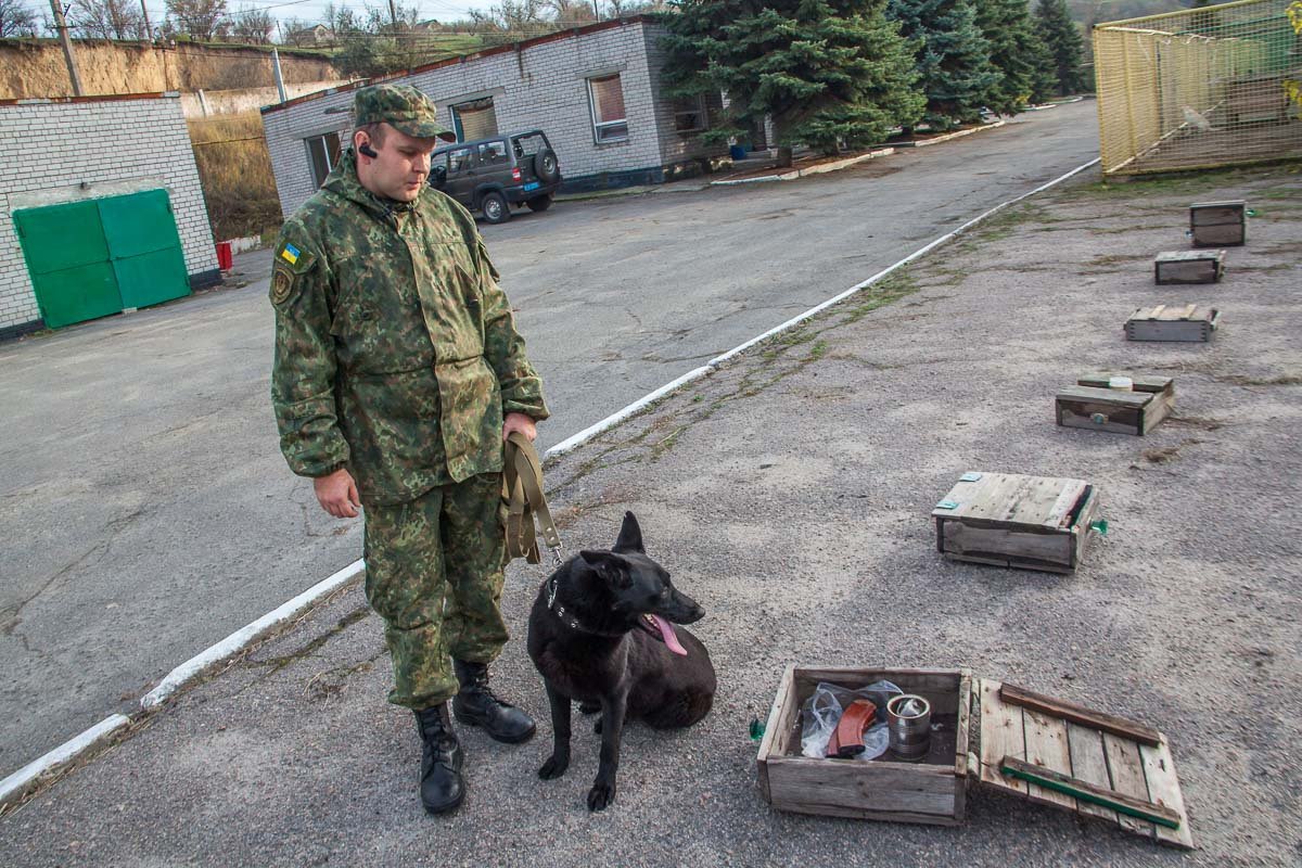 Герда не может без любимой работы