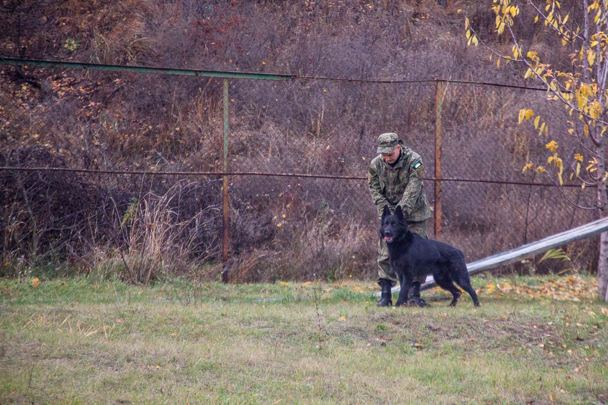 Боевая стойка