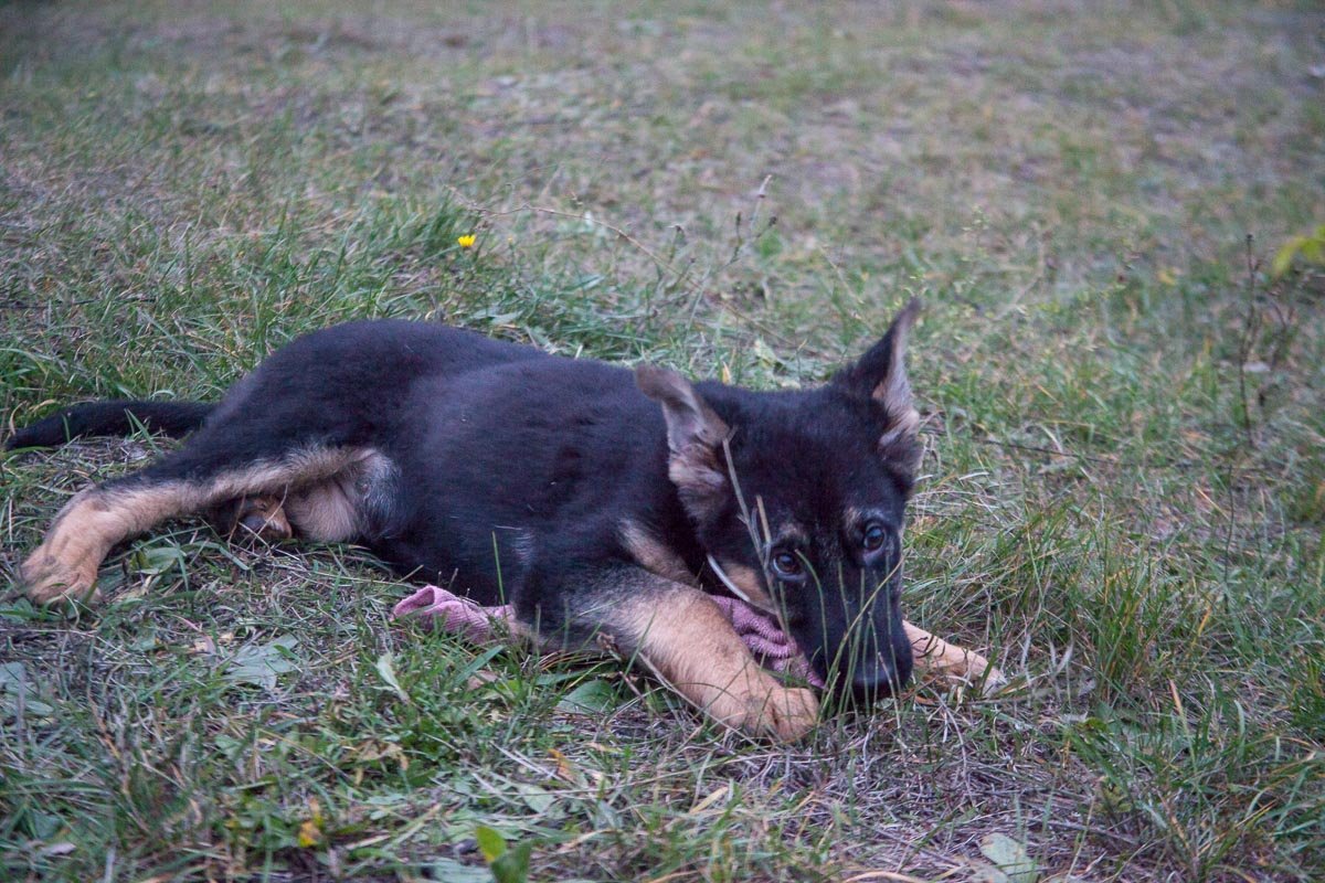 Вся учеба еще впереди