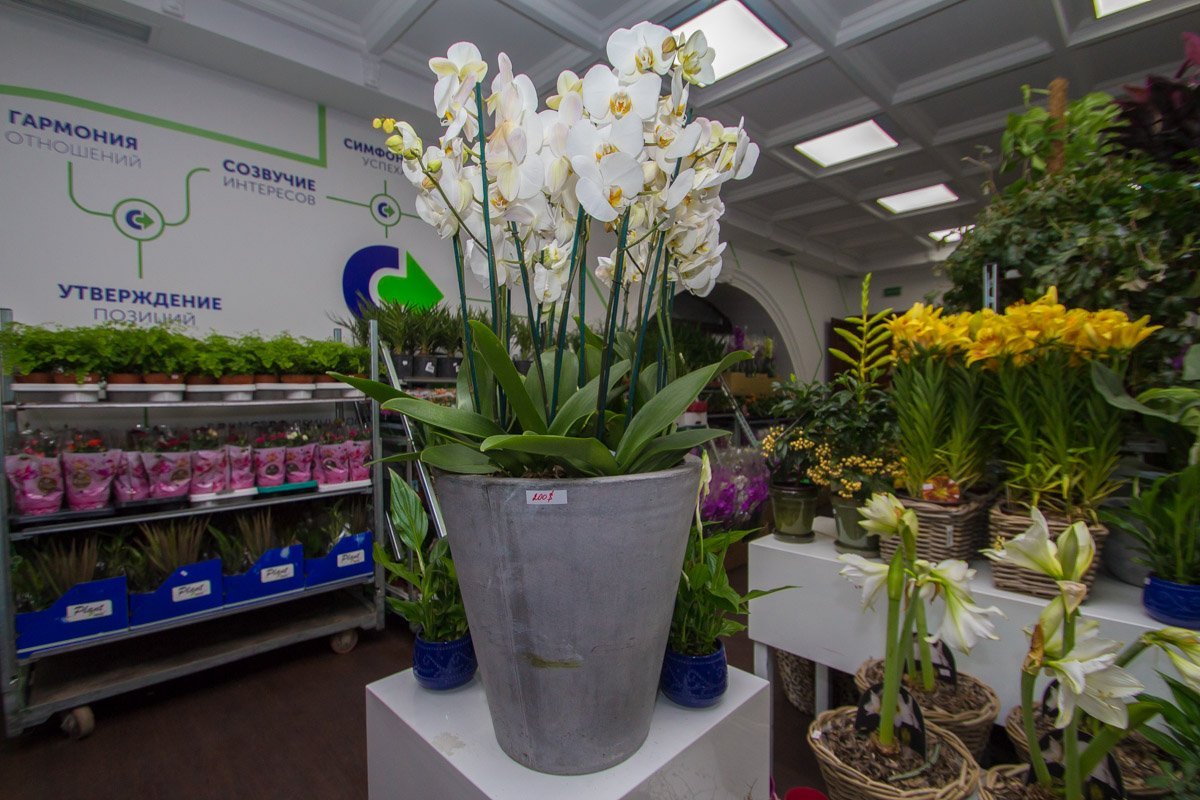 Цены приятно удивят всех желающих приобрести что-то для себя Цены приятно удивят всех желающих приобрести что-то для себя