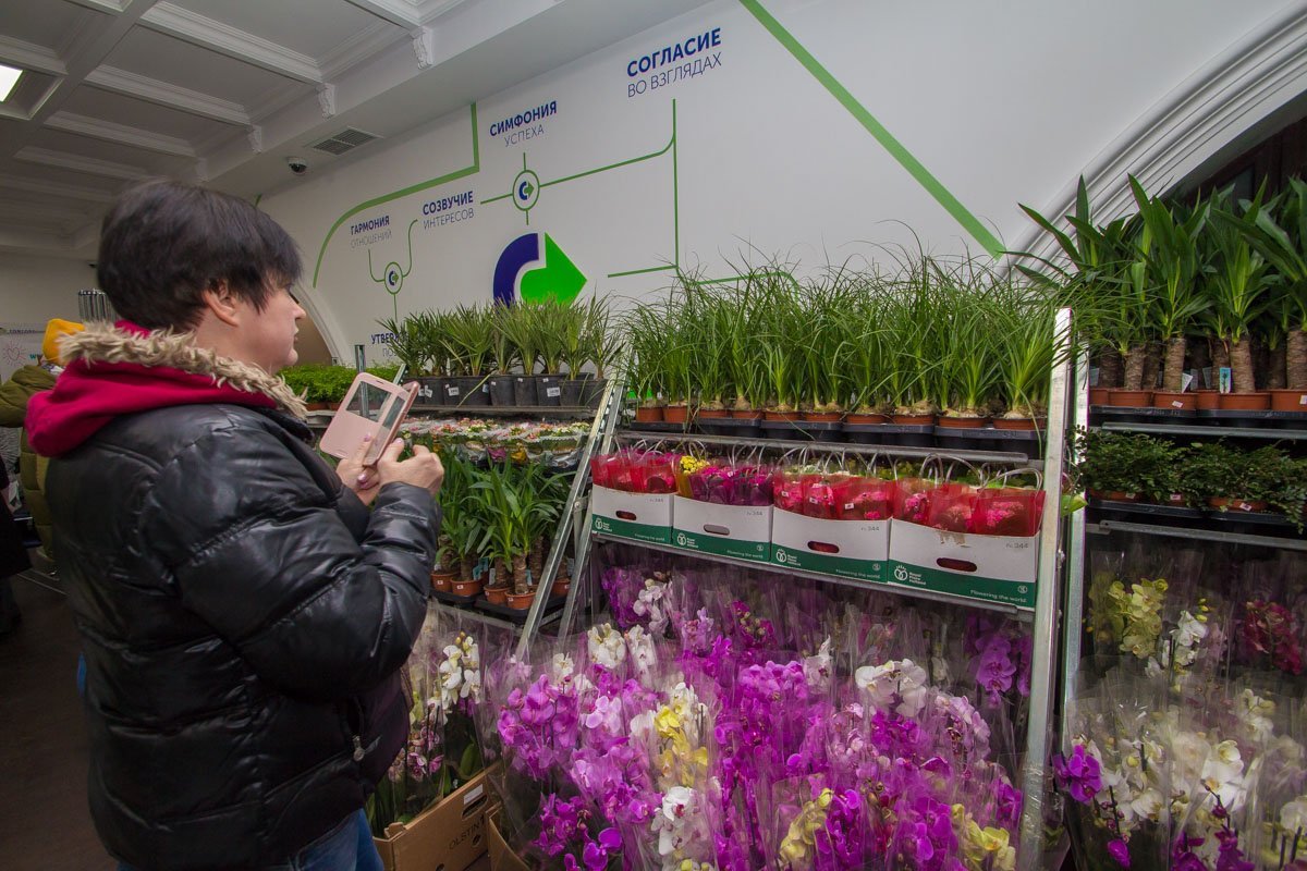 От количества цветов разбегаются глаза От количества цветов разбегаются глаза