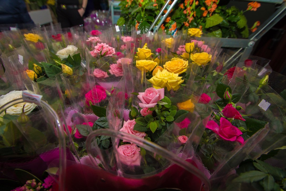 Аромат, проникающий прямо в сердце Аромат, проникающий прямо в сердце