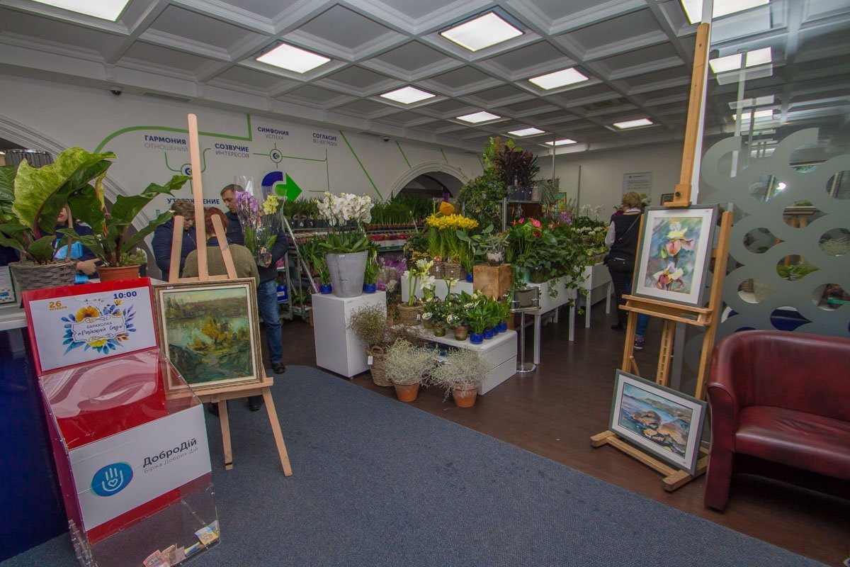 Если вы ничего для себя не нашли, можно просто оставить деньги в коробке Если вы ничего для себя не нашли, можно просто оставить деньги в коробке