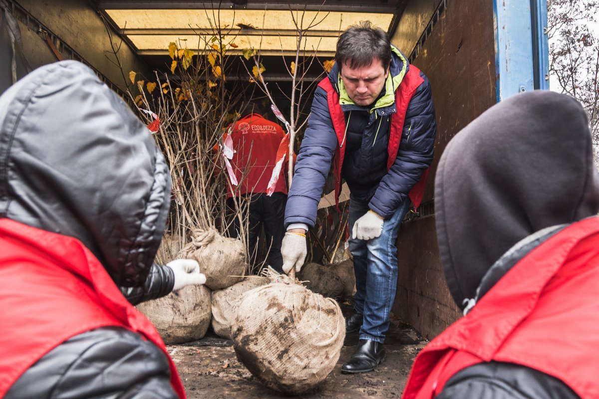 Доставка еды с пользой: раскрываем все секреты пиццерии Eco&Pizza 5
