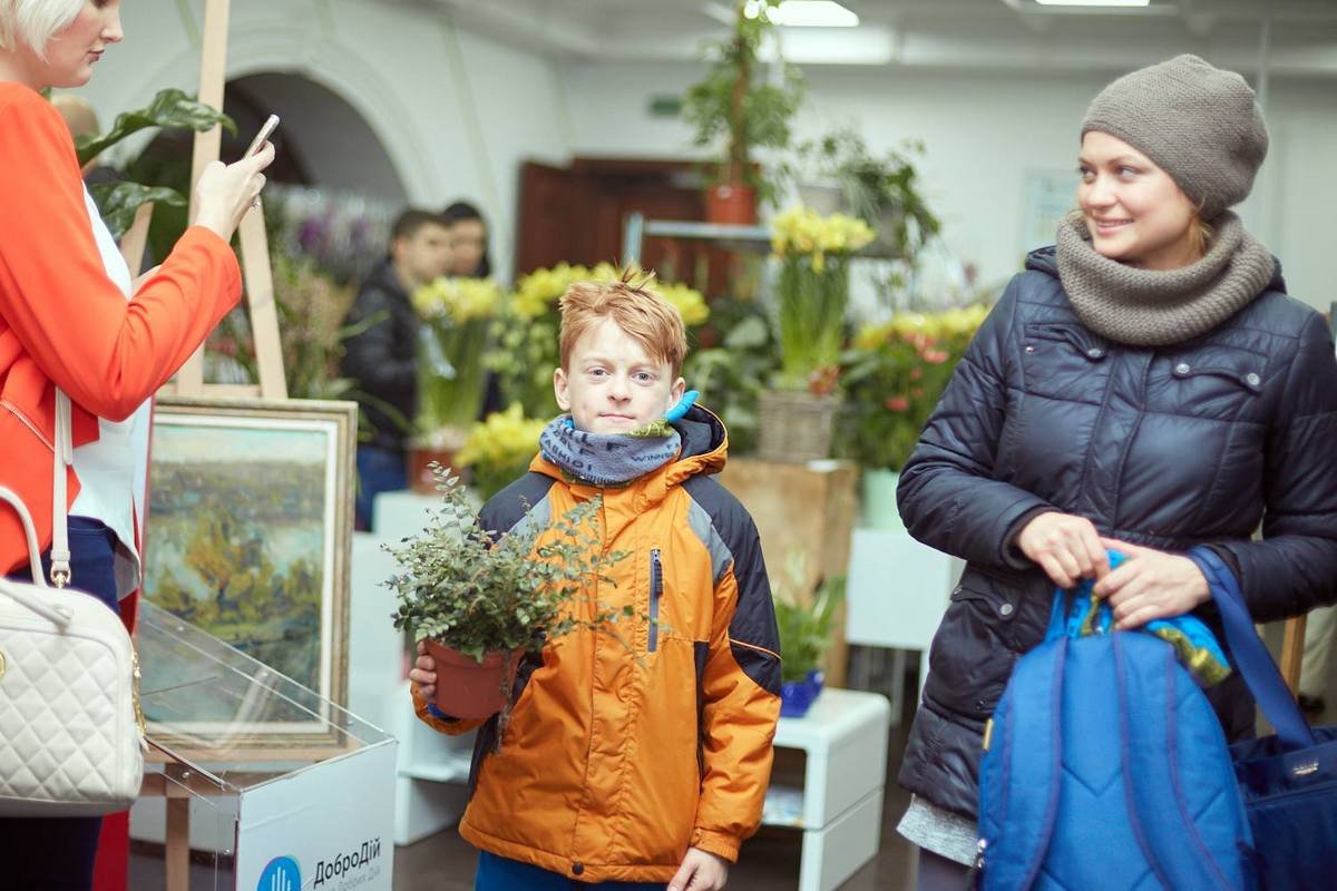 На выставке было много домашних цветов из Голландии