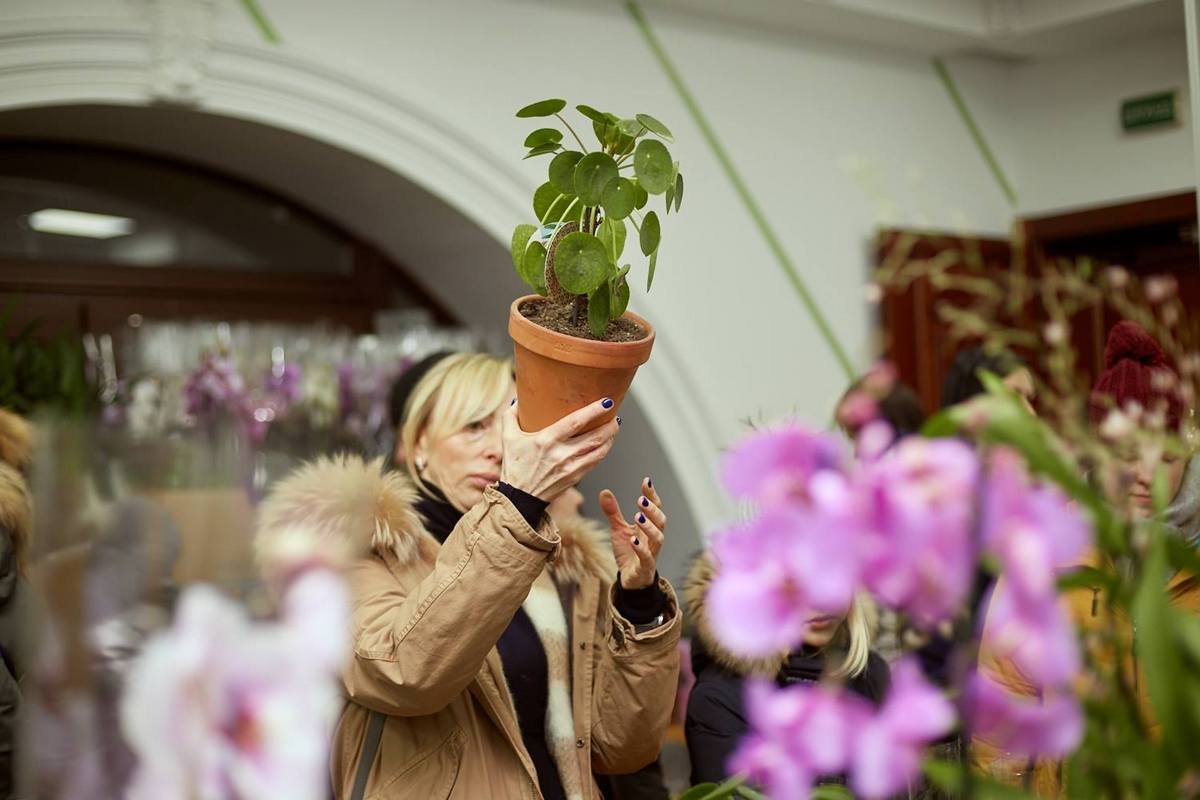 Цены на растения были ниже, чем в магазинах