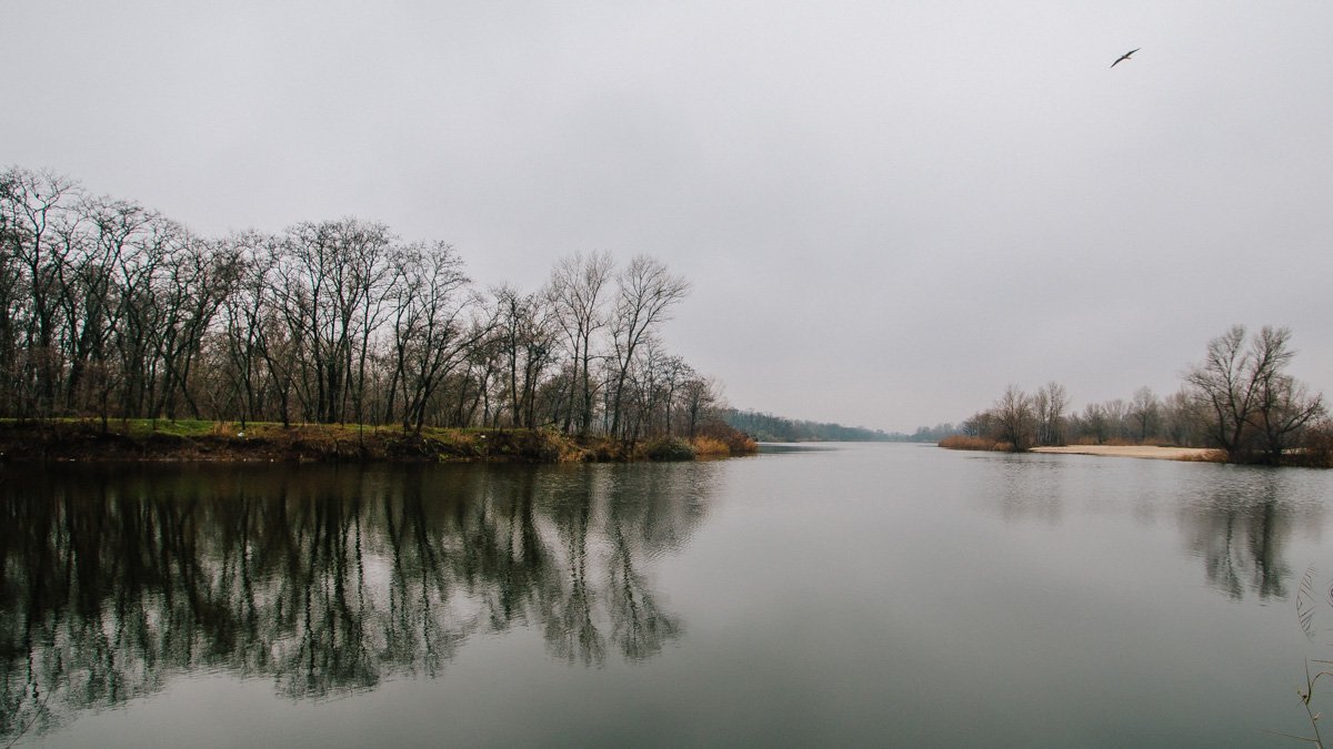 Птицы уже готовы улетать