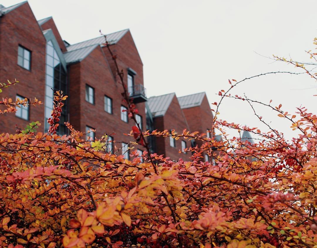 Амстердам. just_annet13 Амстердам. just_annet13