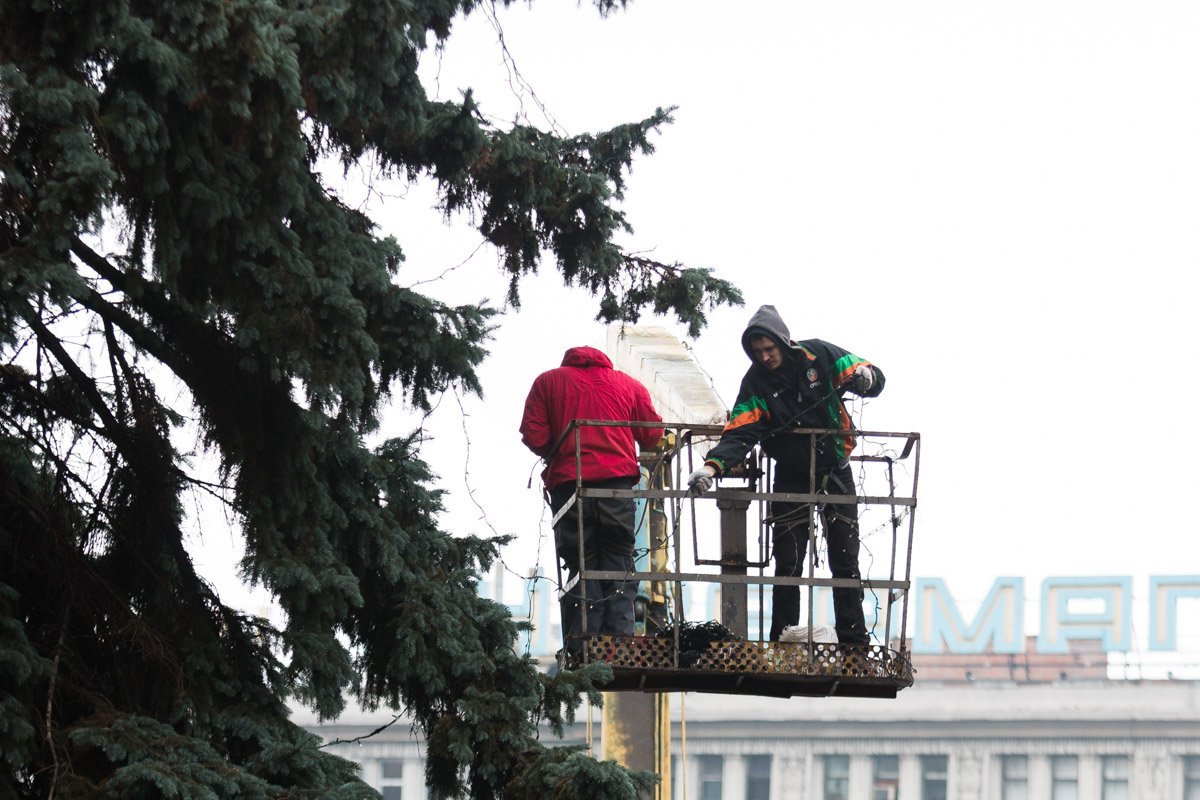 Торжественное открытие елки планируется на 23 декабря Торжественное открытие елки планируется на 23 декабря