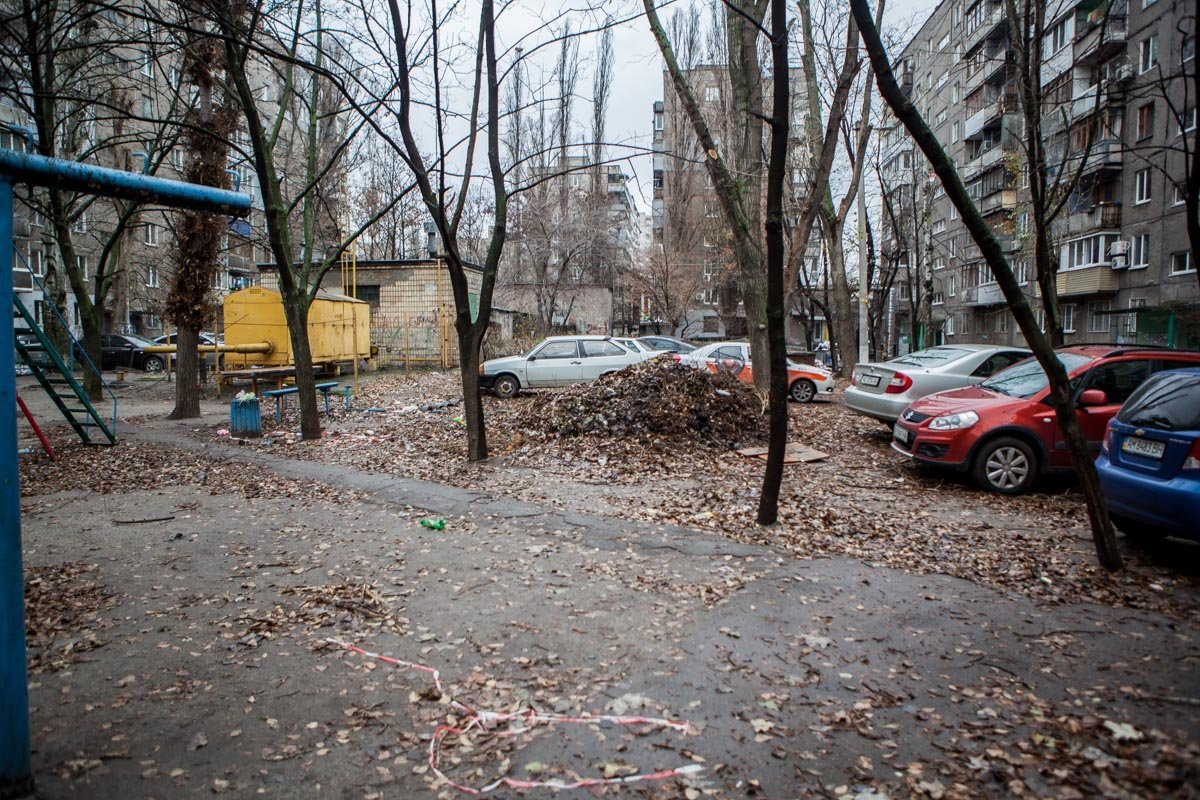 Везде кучи листьев и мелкий мусор Везде кучи листьев и мелкий мусор