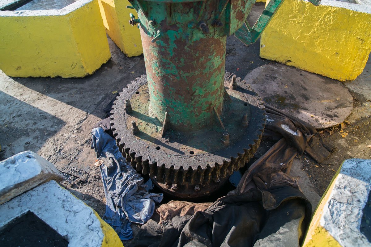 В парк Глобы привезли элементы новогодней елки