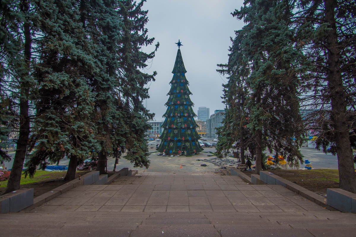 Рождественская красавица уже готова радовать глаз горожан