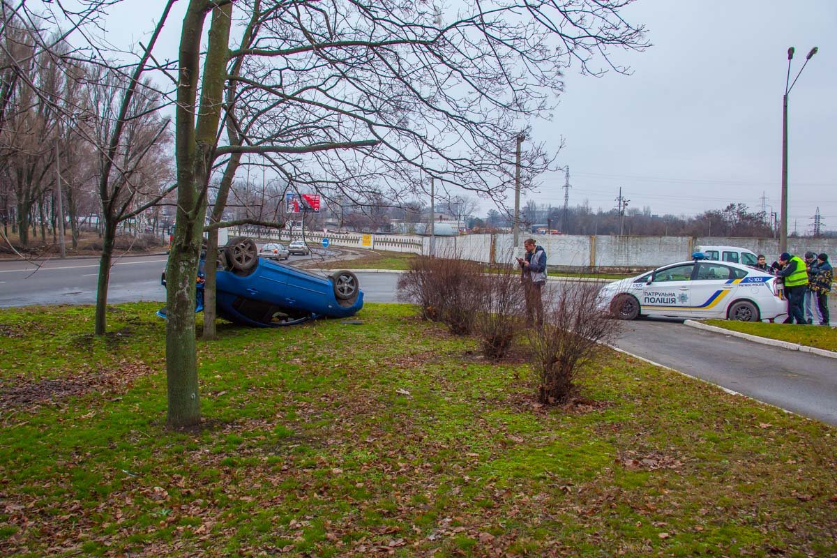 Не зря заправку и проезжую часть разделяют зеленые насаждения