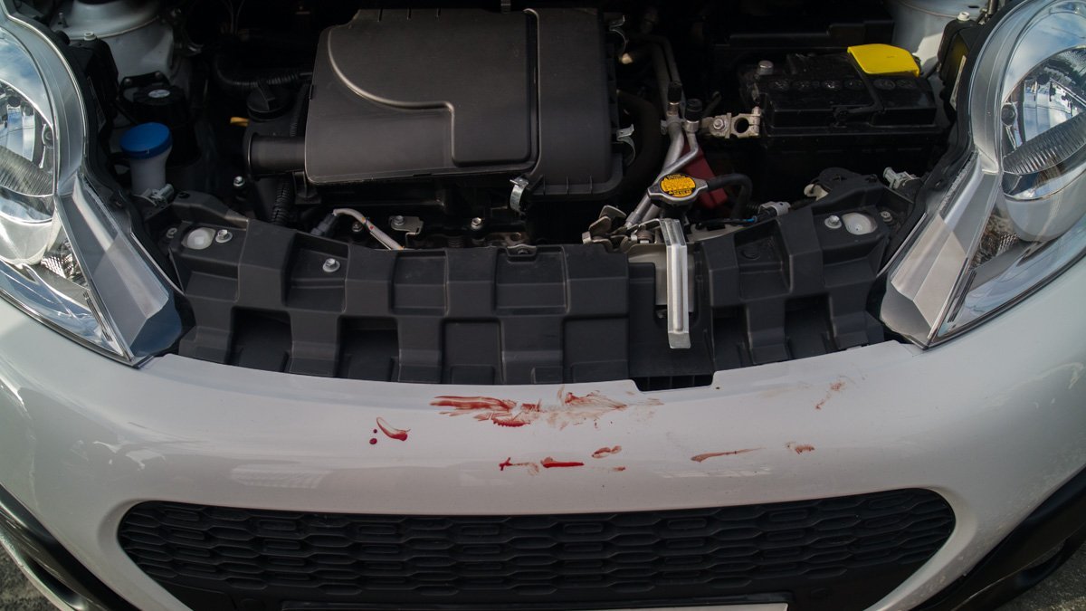 Фото: Денис Чубченко