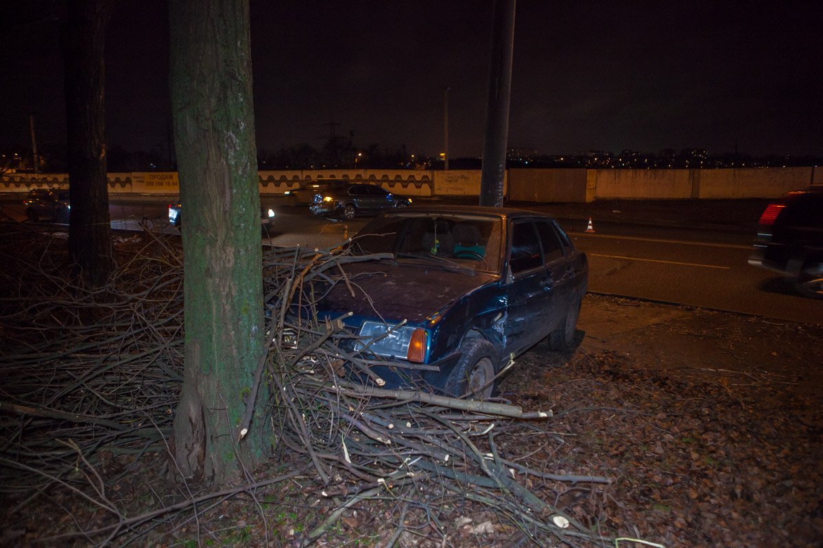Водитель сумел уйти от столба и въехал в гору веток рядом с деревом Водитель сумел уйти от столба и въехал в гору веток рядом с деревом