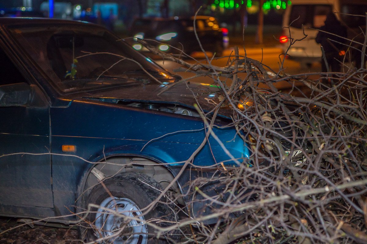 Фото: Сергей Марченко Фото: Сергей Марченко