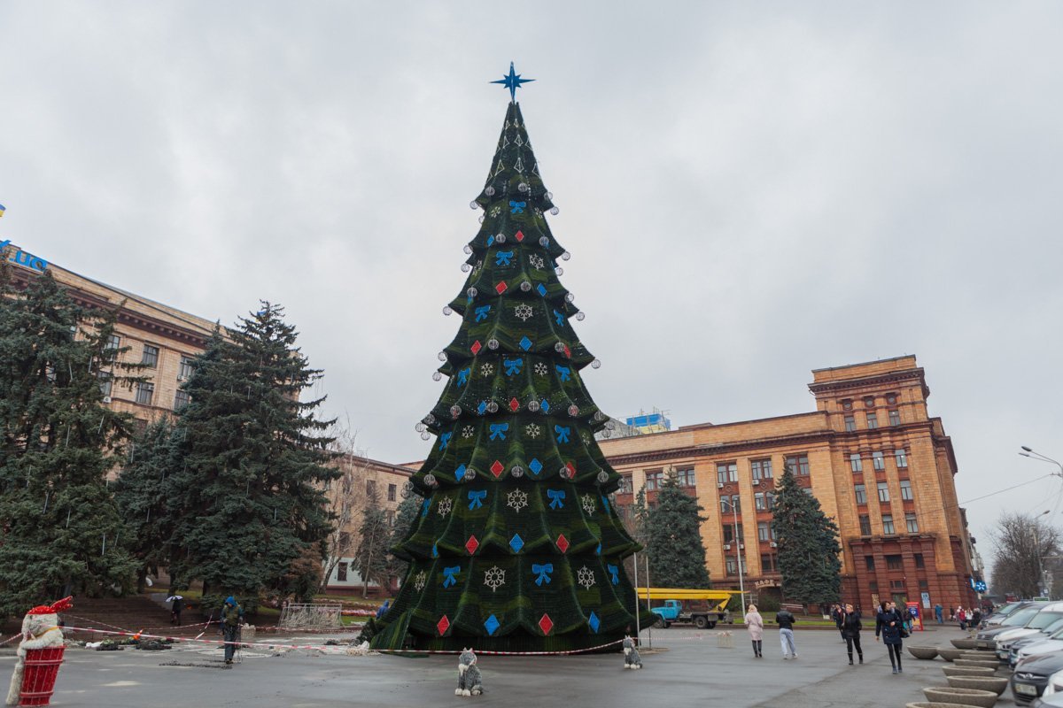 В центре Днепра установили праздничную елку