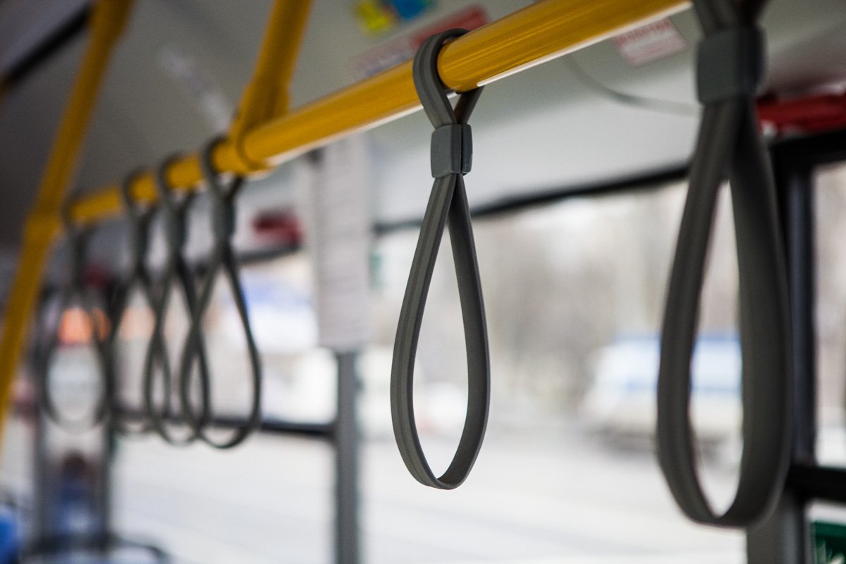 Фото: Александр Лаур