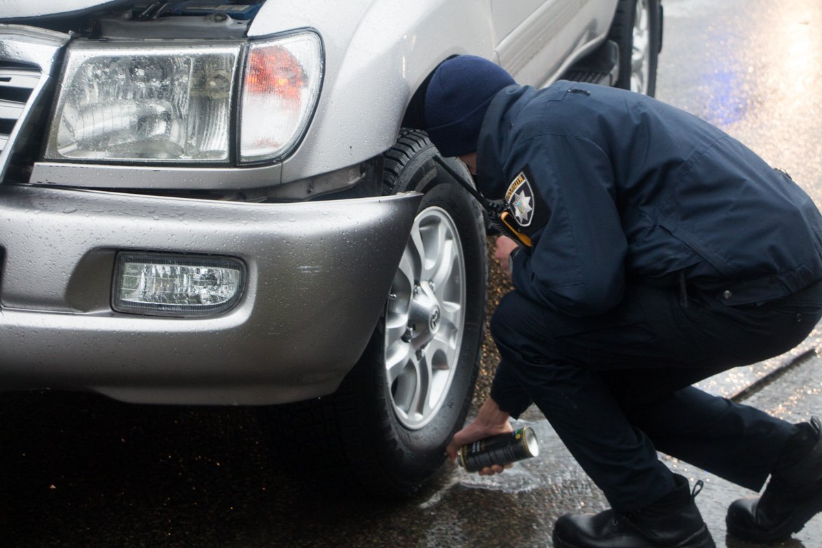 Фото: Александр Лаур