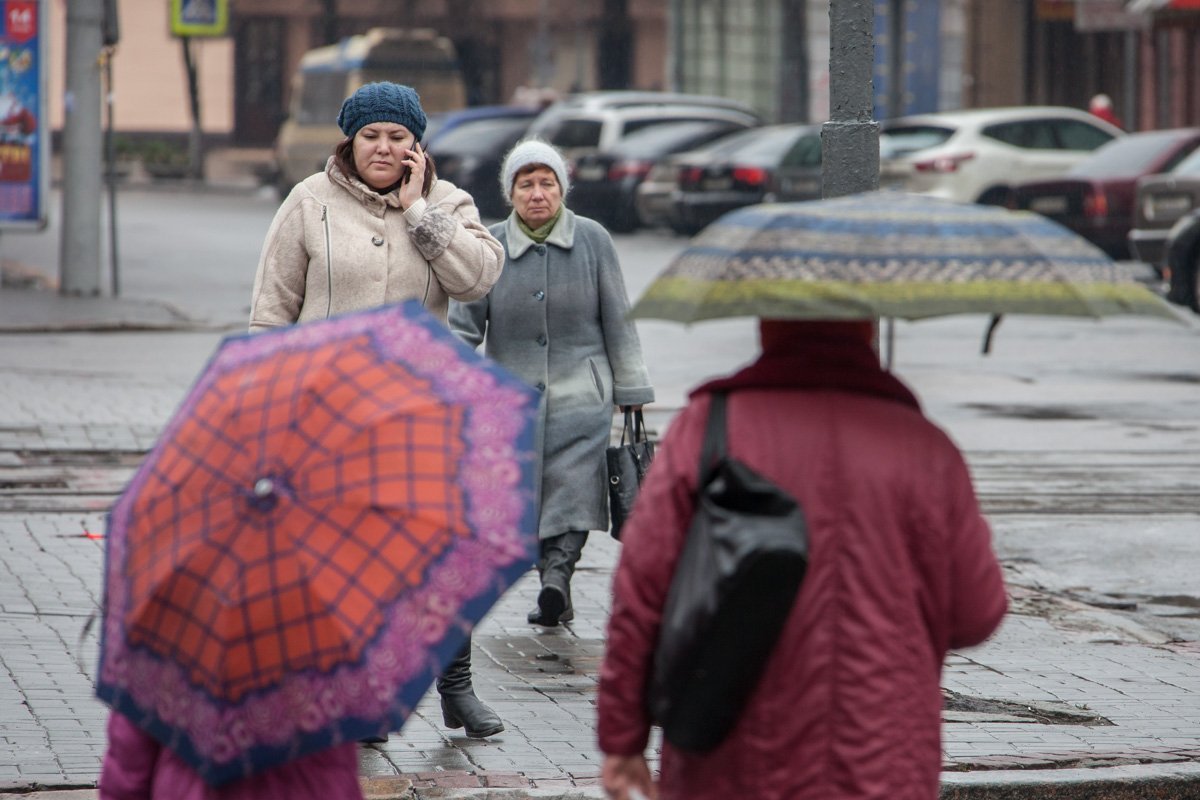 Люди похожи на грибы. Грусть. Груздь.