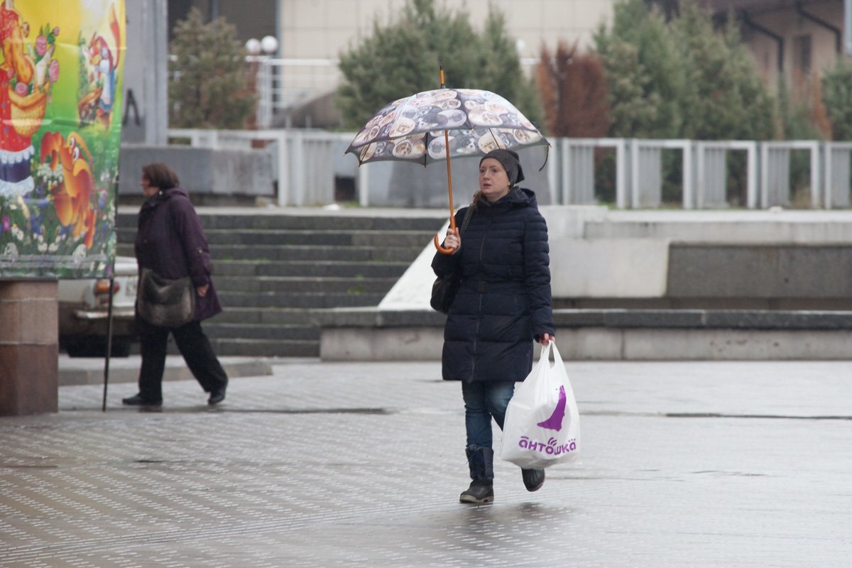 Только из-за зонта в собачках можно любить дождь