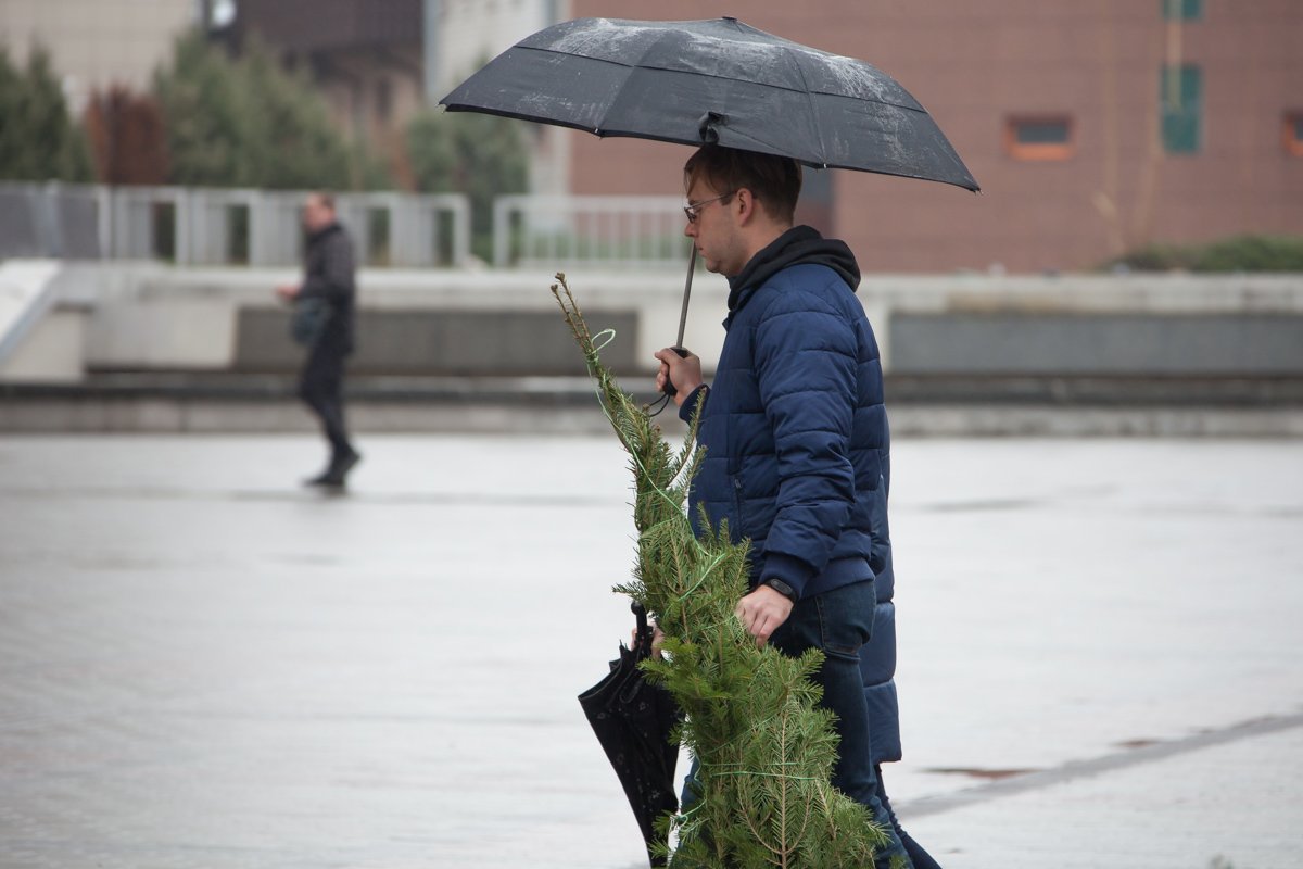 Даже елка не радует