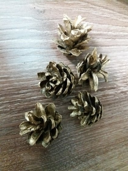 Золотые шишки по 2 гривны Золотые шишки по 2 гривны