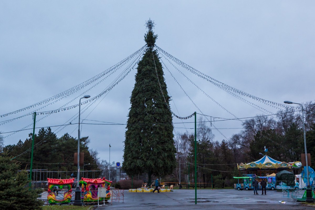 Елка уже стала пушистой Елка уже стала пушистой