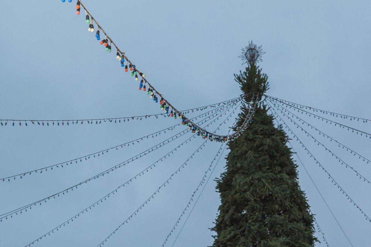 Праздник приближается Праздник приближается