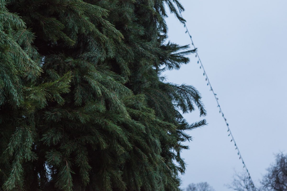 А вы готовы праздновать? А вы готовы праздновать?