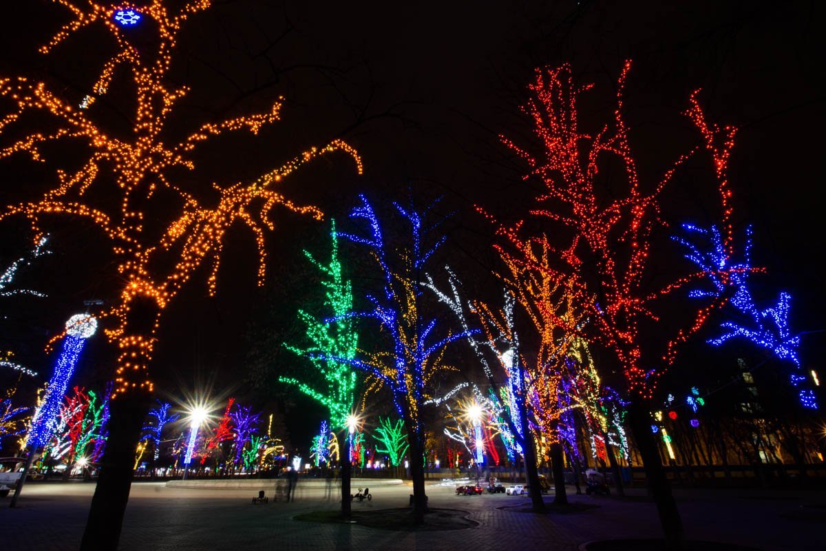 Около 180 деревьев украсили почти 14 км гирлянд