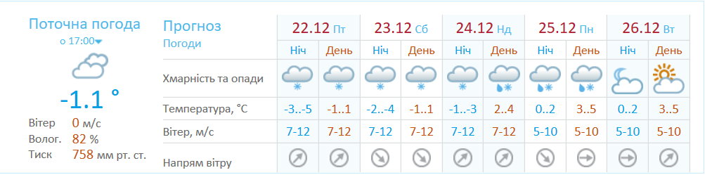 Погода на 23 декабря: в Днепре будет пасмурно и снежно 1