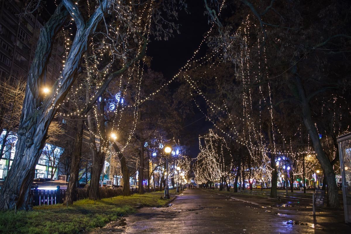 Проспект Яворницкого украсили новогодние огни