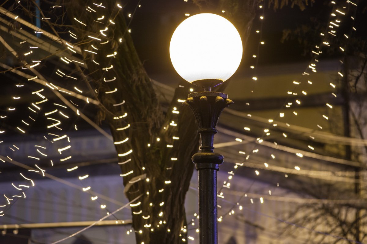 Теперь прогуливаясь, жители могут насладится невероятно красивым зрелищем