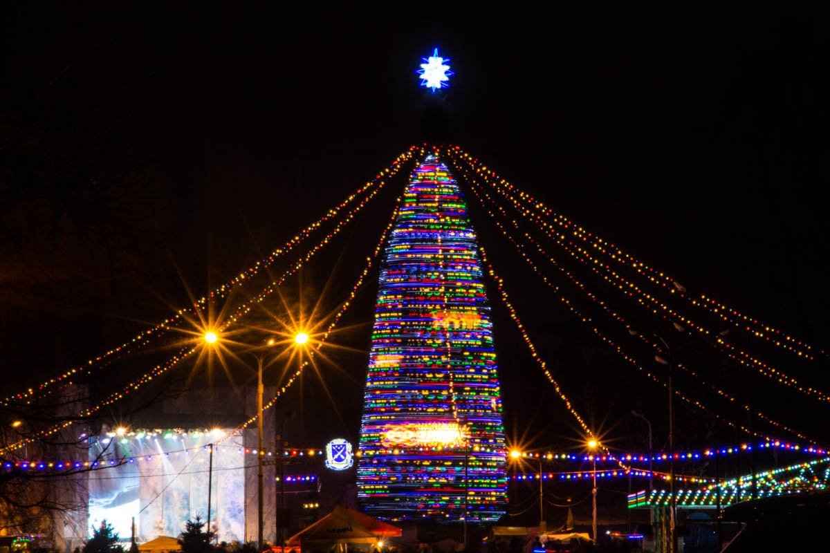 В парке Глобы открыли традиционную елку